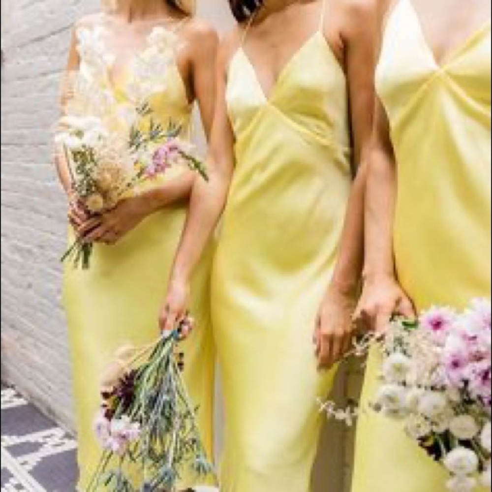 Park & Fifth Davenport Dress - Picture 4 of 4